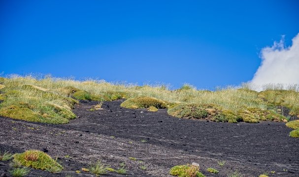 Landscapes of Etna, Sicily ,Italy.