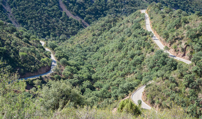 Fototapeta na wymiar Top view of ascending mountain road with curves