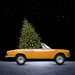 Weihnachtsbaum im Caprio
