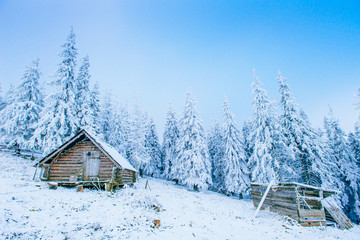 Idyllic cottage in winter