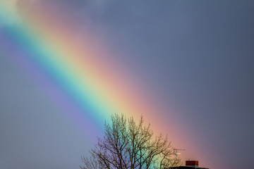 Rainbow