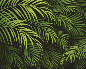 tropical background - 73899410