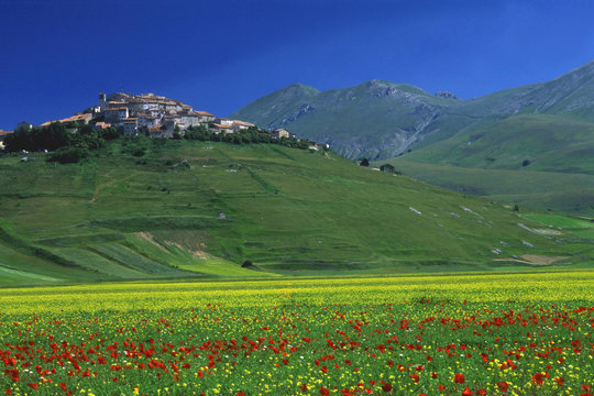 castelluccio di norcia parco nazionale monti sibillini