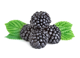 Blackberry with leaves isolated on white background © yvdavid