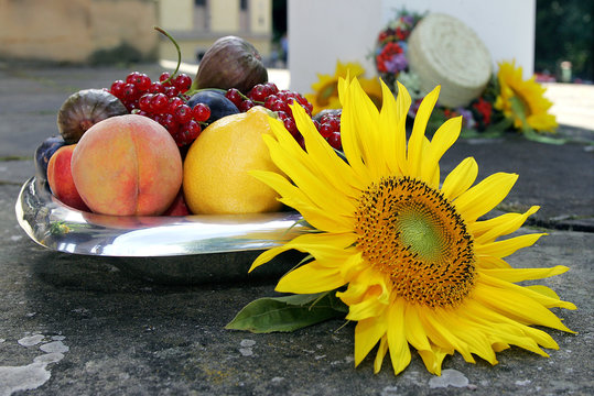 Imagens de Fruchtteller – Explore Fotografias do Stock, Vetores e ...