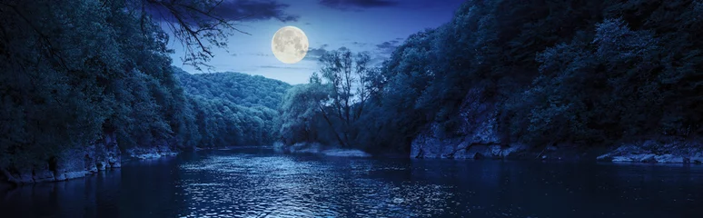 Waldfluss mit Steinen am Ufer in der Nacht © Pellinni