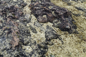 Rock