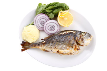 sea bream