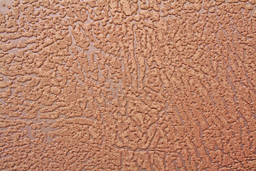 Carpet texture macro