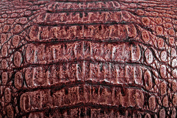 Brown alligator patterned background