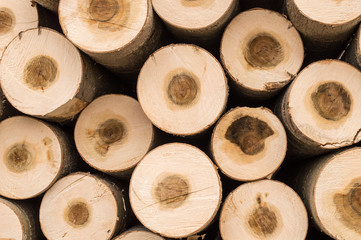 Stacked Logs background
