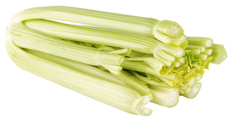 celery isolated