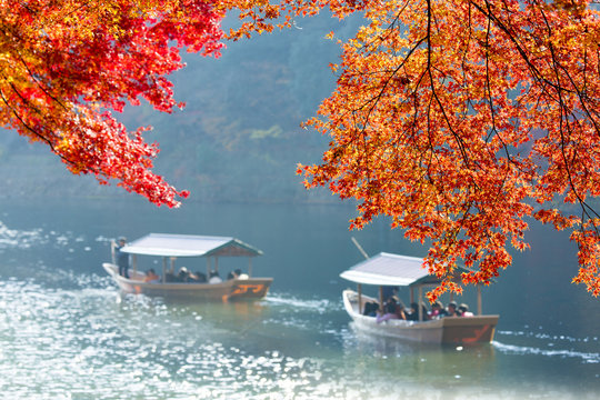 京都嵐山の紅葉と観光船