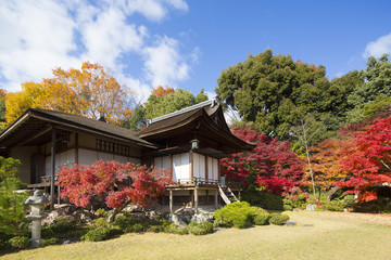 Fototapeta na wymiar 秋の京都大河内山荘