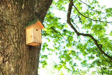 Birdhouse