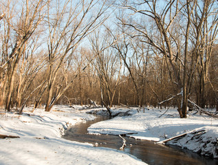 Shallow brook in the winter forest