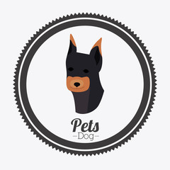 Pet design