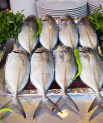Fresh sea bass on display