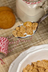 A spoon of breakfast cereal. Macro. Selective focus.