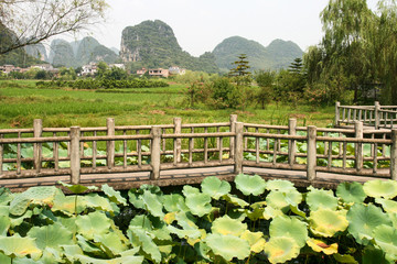 the landscape in guilin, china
