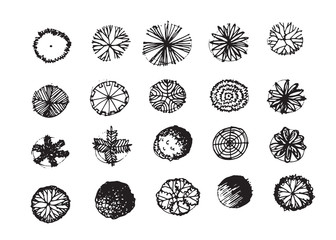 Trees top view for architecture landscape design projects