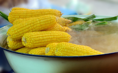 Traditional boiled corn.