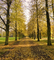 Fototapeta premium Herbst