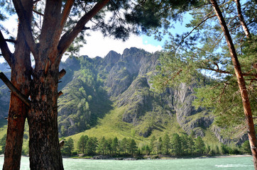 Fototapeta premium View of the Katun