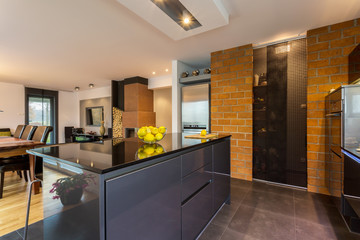 Contemporary kitchen interior