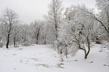 Fototapeta na wymiar Snowfall in the park