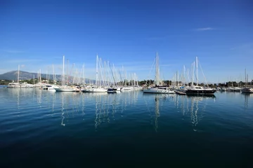  yachts and boats in marina © William Richardson