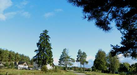 Лето в деревне © pupulica