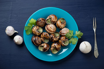 Snails with garlic butter, dark blue wooden surface, above view