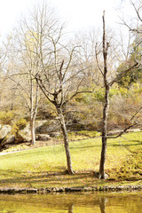 Obraz premium Beautiful nature background