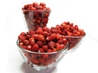 wild strawberry berries fruit dessert