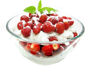 dairy pudding dessert with wild strawberry berries