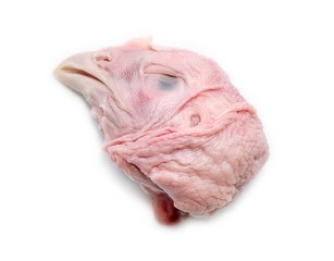 Chicken head.