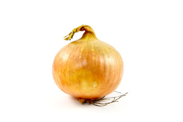 Onion on a white background