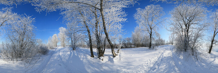 frost and sun