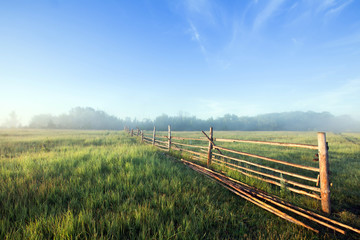 Obraz premium thick fog in the field