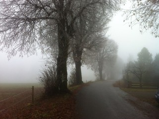 Obraz premium Straße im Nebel