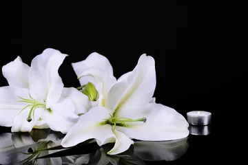 Crédence de cuisine en verre imprimé Nénuphars Beautiful lily isolated on black