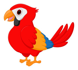Happy macaw bird cartoon