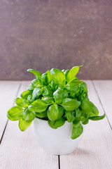 Basil growing in a pot