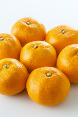 みかん　Mandarin orange　Mikan