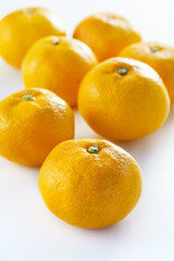 みかん　Mandarin orange　Mikan
