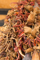 peppers hung to dry in the La Boqueria market Barcelona