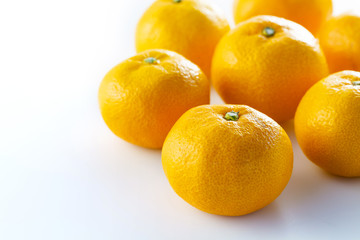 みかん　Mandarin orange　Mikan