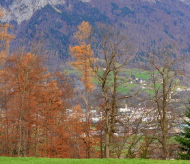 Region de Sargans