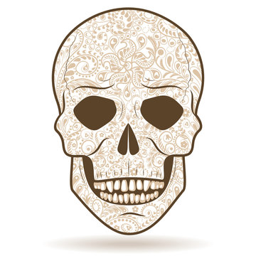 Light-colored patterned human skull